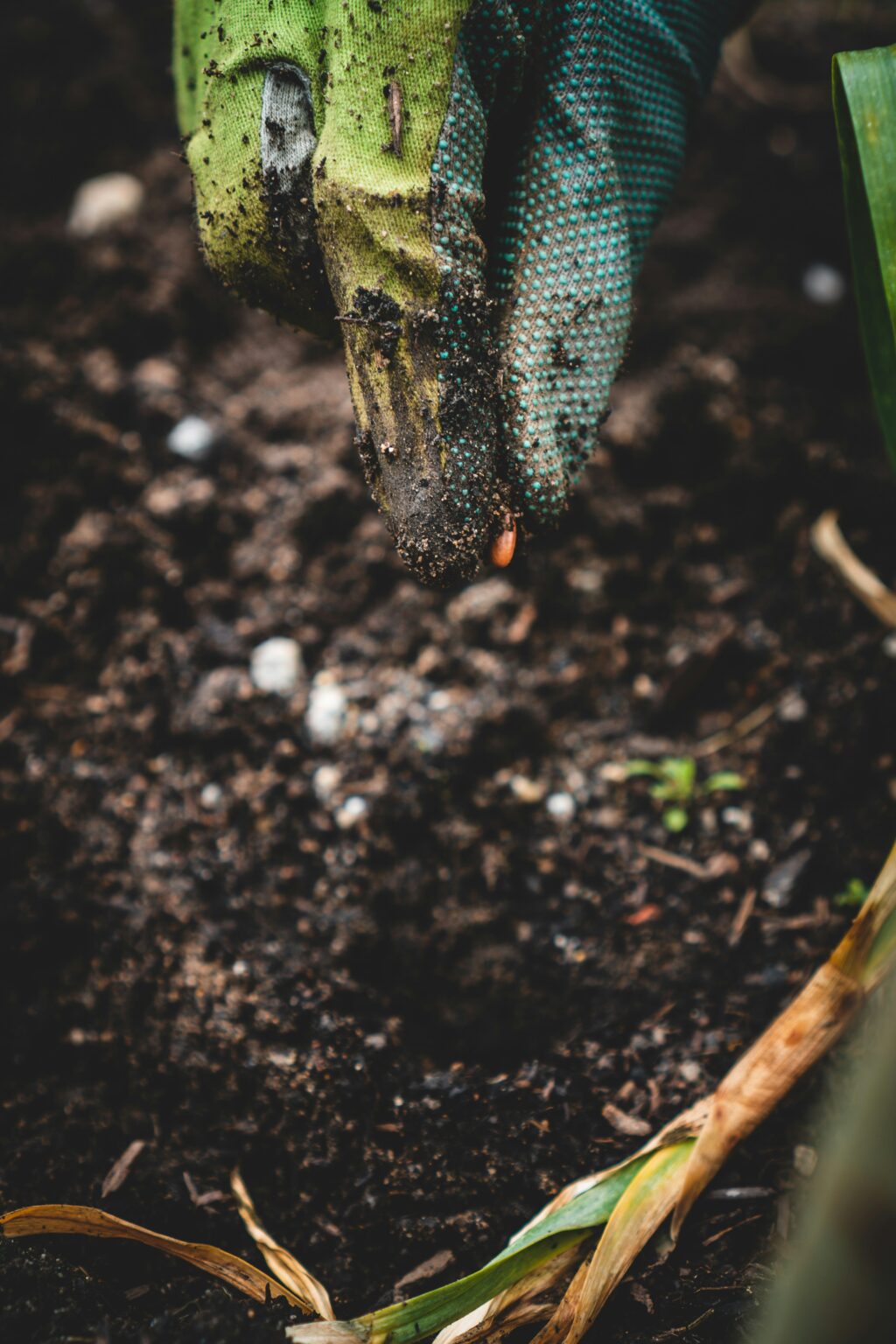 jonathan-kemper-jbwSHC1ITUA-unsplash